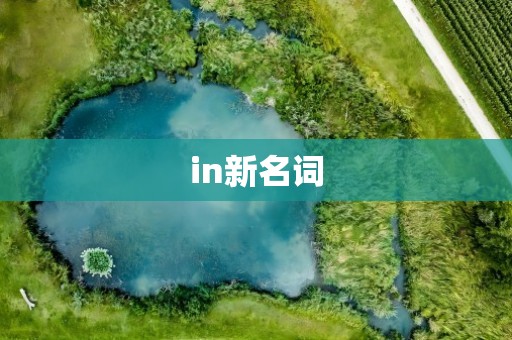 in新名词