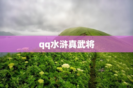 qq水浒真武将