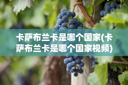卡萨布兰卡是哪个国家(卡萨布兰卡是哪个国家视频)