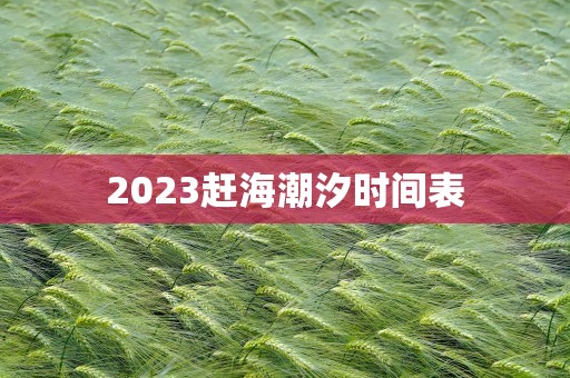 2023赶海潮汐时间表