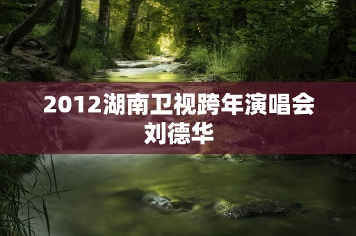 2012湖南卫视跨年演唱会刘德华