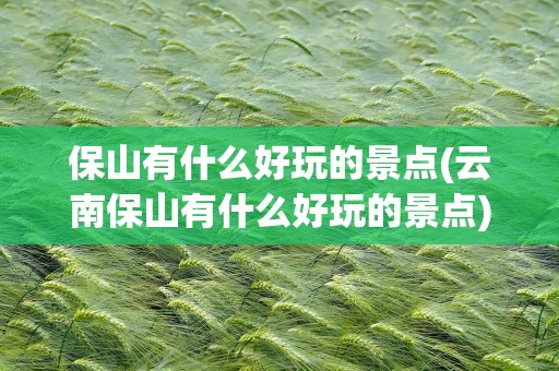 保山有什么好玩的景点(云南保山有什么好玩的景点)
