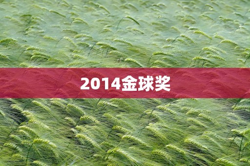 2014金球奖