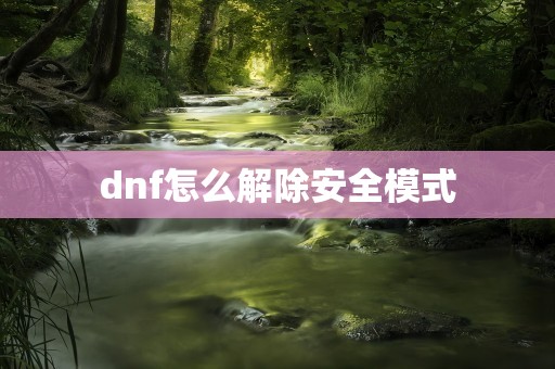 dnf怎么解除安全模式
