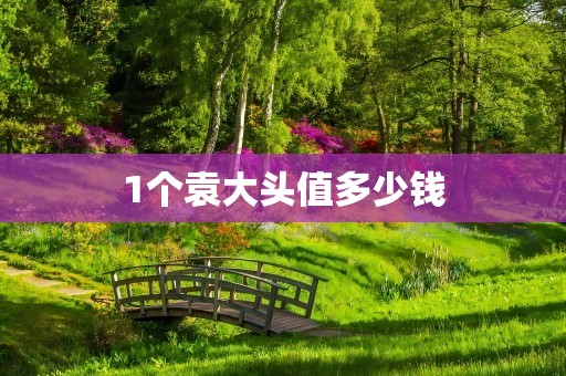 1个袁大头值多少钱