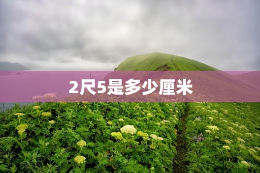 2尺5是多少厘米