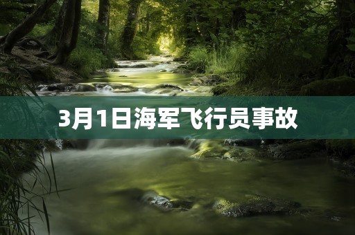 3月1日海军飞行员事故