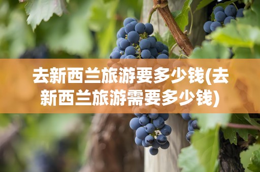 去新西兰旅游要多少钱(去新西兰旅游需要多少钱)