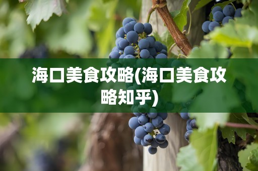 海口美食攻略(海口美食攻略知乎)