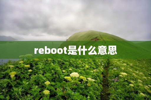 reboot是什么意思