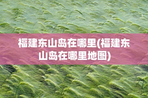 福建东山岛在哪里(福建东山岛在哪里地图)