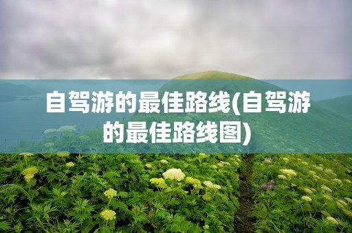 自驾游的最佳路线(自驾游的最佳路线图)
