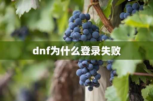 dnf为什么登录失败