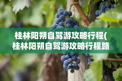 桂林阳朔自驾游攻略行程(桂林阳朔自驾游攻略行程路线)