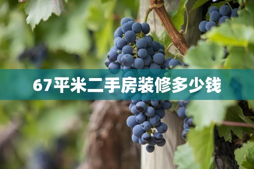 67平米二手房装修多少钱