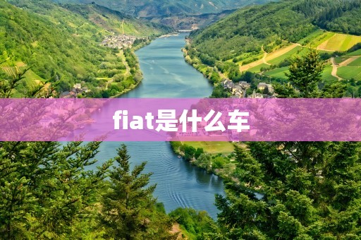 fiat是什么车