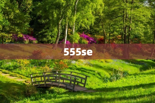 555se