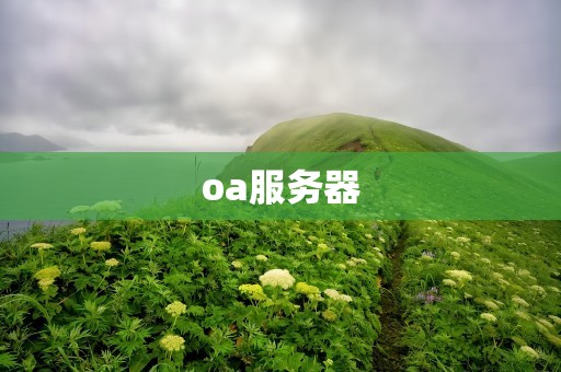 oa服务器