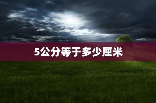 5公分等于多少厘米