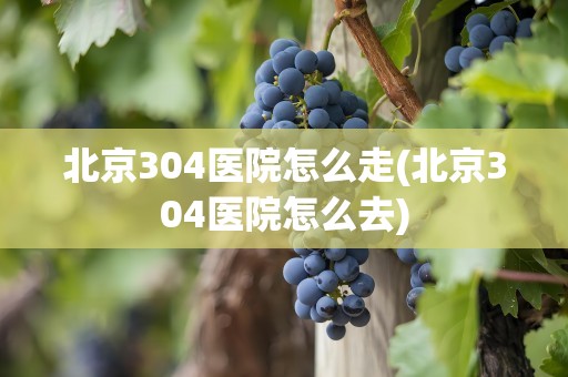 北京304医院怎么走(北京304医院怎么去)