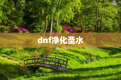 dnf净化圣水