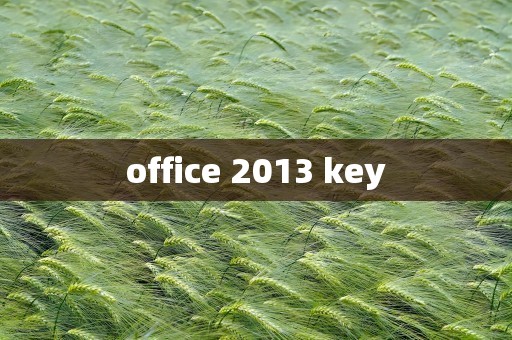 office 2013 key