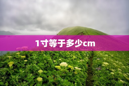 1寸等于多少cm