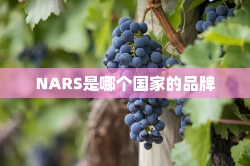 NARS是哪个国家的品牌