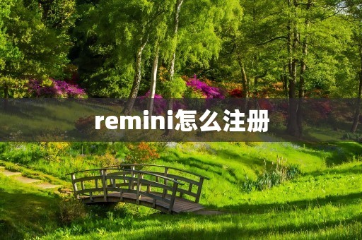 remini怎么注册