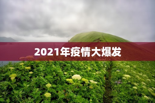 2021年疫情大爆发