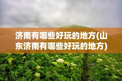 济南有哪些好玩的地方(山东济南有哪些好玩的地方)