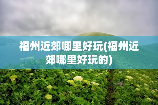 福州近郊哪里好玩(福州近郊哪里好玩的)