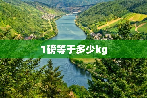 1磅等于多少kg
