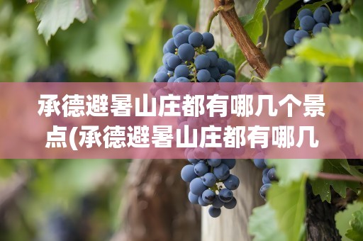 承德避暑山庄都有哪几个景点(承德避暑山庄都有哪几个景点名称)