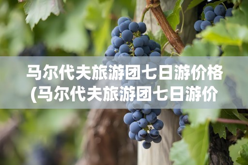 马尔代夫旅游团七日游价格(马尔代夫旅游团七日游价格单人)