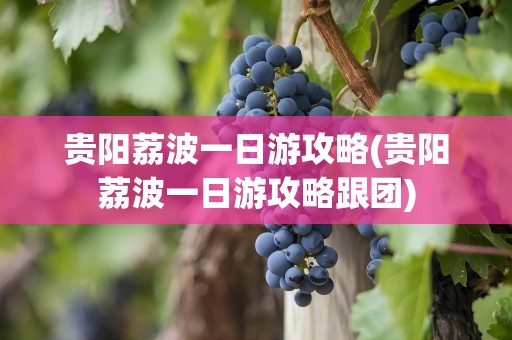 贵阳荔波一日游攻略(贵阳荔波一日游攻略跟团)