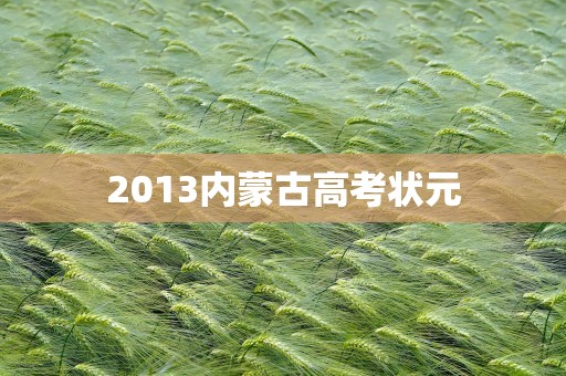 2013内蒙古高考状元