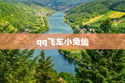 qq飞车小兔仙