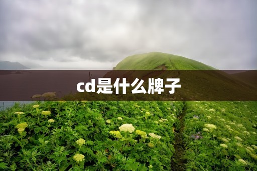 cd是什么牌子