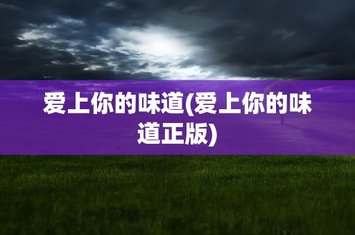 爱上你的味道(爱上你的味道正版)