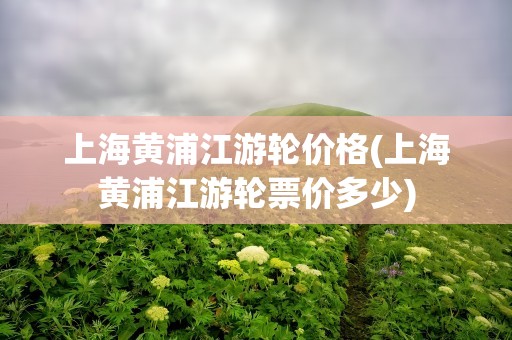上海黄浦江游轮价格(上海黄浦江游轮票价多少)