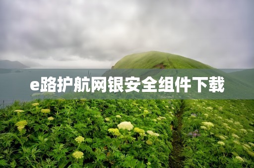 e路护航网银安全组件下载