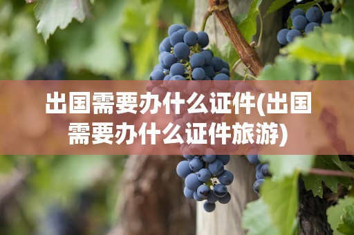 出国需要办什么证件(出国需要办什么证件旅游)