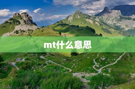 mt什么意思