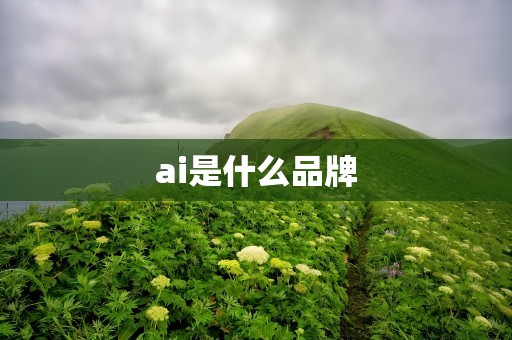 ai是什么品牌