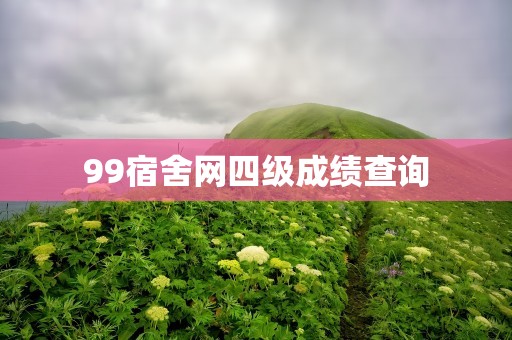 99宿舍网四级成绩查询