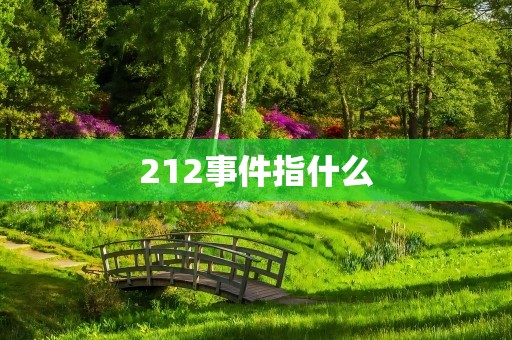 212事件指什么