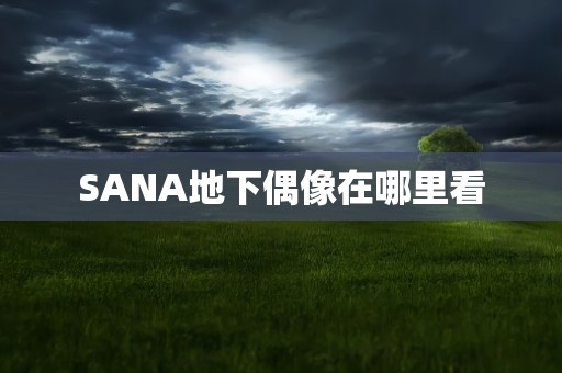 SANA地下偶像在哪里看