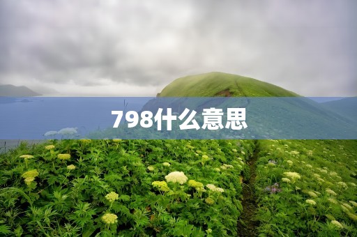 798什么意思