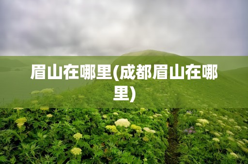 眉山在哪里(成都眉山在哪里)
